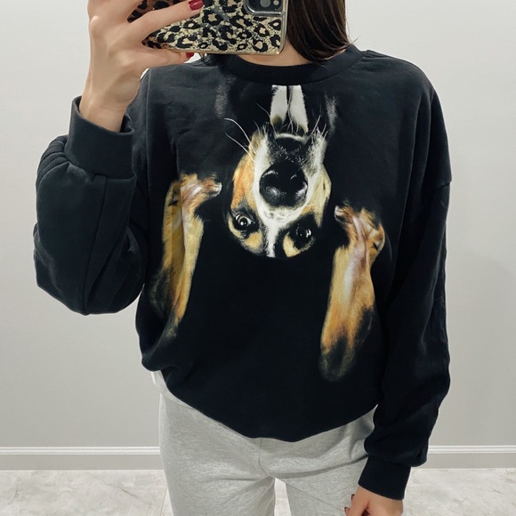 adidas dog sweatshirt